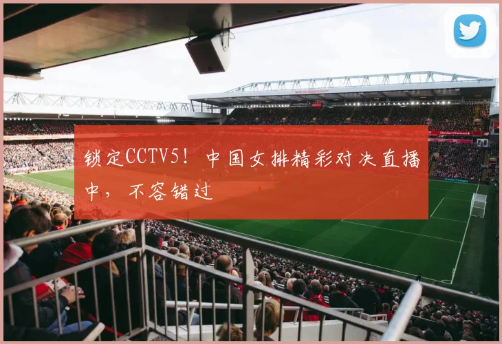 锁定CCTV5！中国女排精彩对决直播中，不容错过