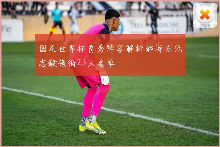国足世界杯首秀阵容解析郝海东范志毅领衔23人名单
