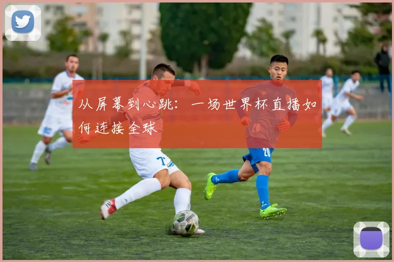 从屏幕到心跳：一场世界杯直播如何连接全球