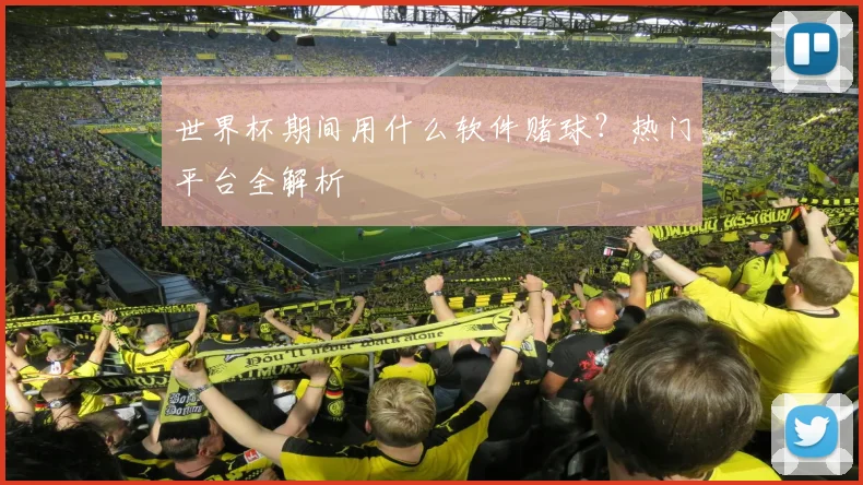 世界杯期间用什么软件赌球？热门平台全解析