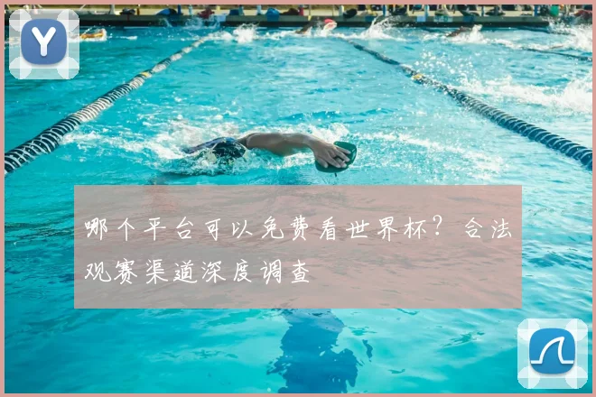 哪个平台可以免费看世界杯?合法观赛渠道深度调查