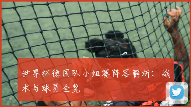 世界杯德国队小组赛阵容解析:战术与球员全览