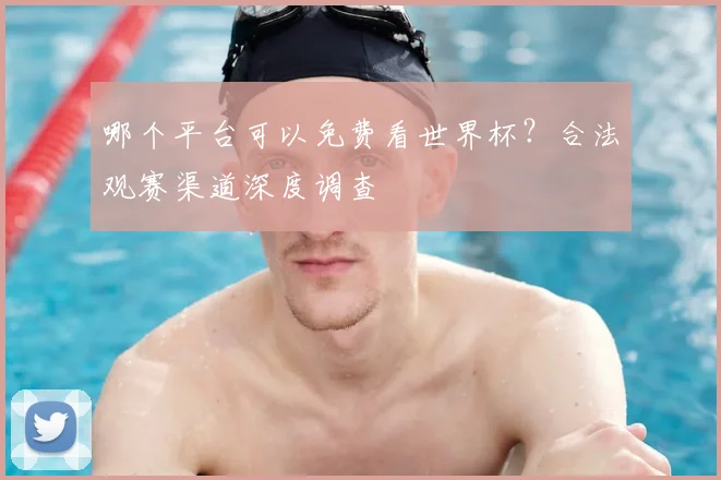 哪个平台可以免费看世界杯？合法观赛渠道深度调查