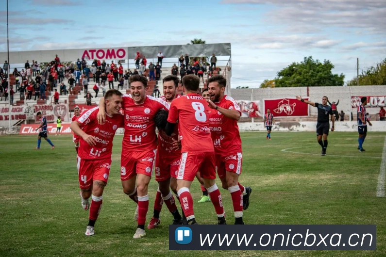 星空官网免费入口平台生态图