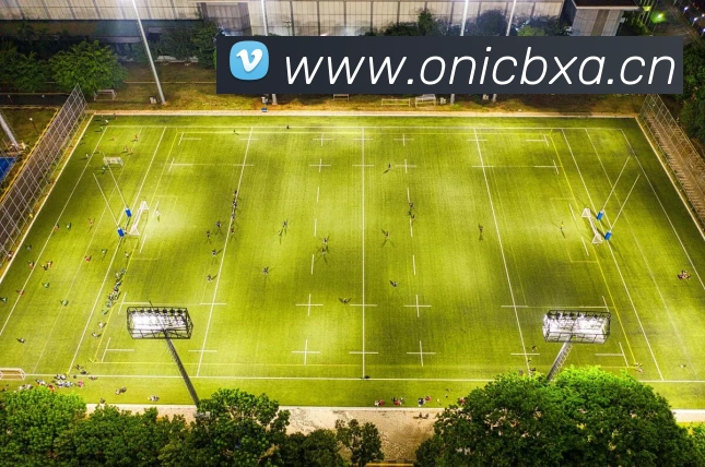 星空官网免费入口全站App 星空官网免费入口全站App